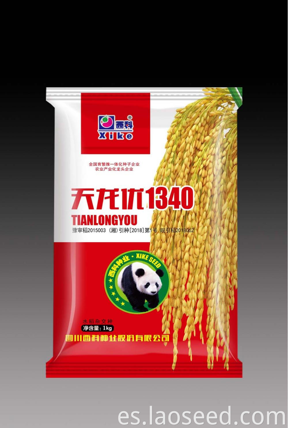 online paddy seeds